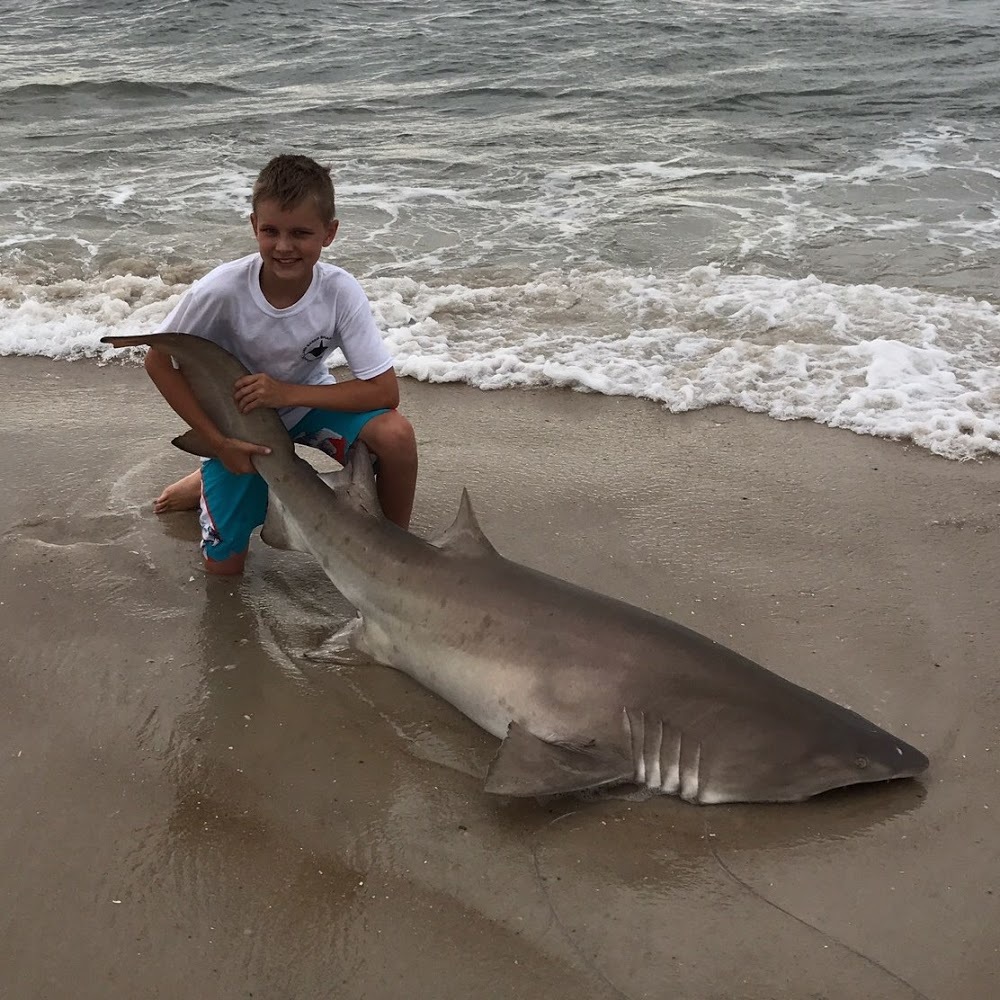 Meet your Posher, Just